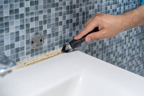 Best Black Mold Removal  in Laurel, MD